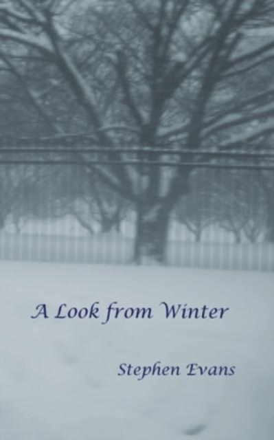 A Look from Winter, Paperback / softback Book