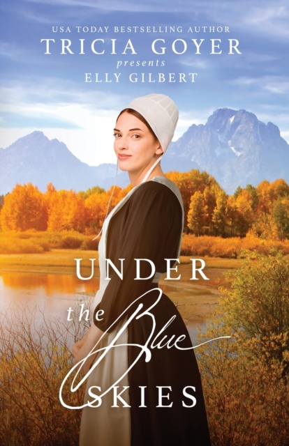 Under the Blue Skies : A Big Sky Amish Novel, Paperback / softback Book