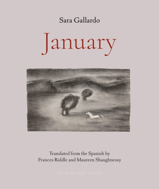January, Paperback / softback Book
