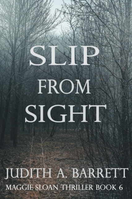 Slip from Sight, Paperback / softback Book