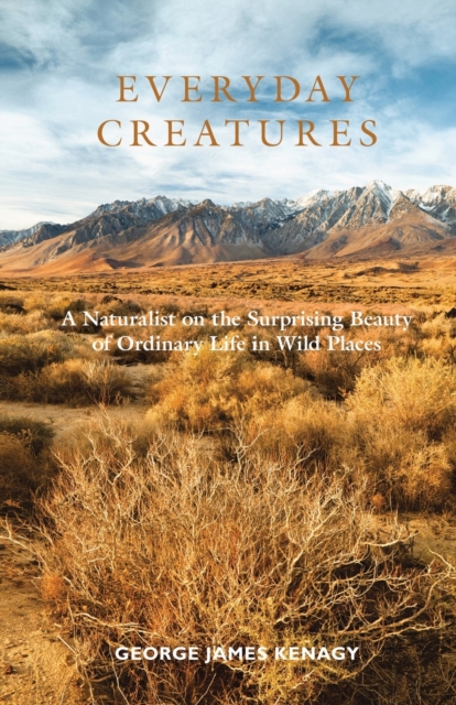 Everyday Creatures : A Naturalist on the Surprising Beauty of Ordinary Life in Wild Places, Paperback / softback Book