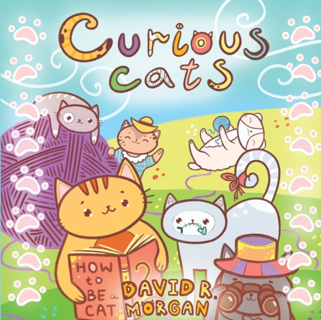 Curious Cats, Paperback / softback Book