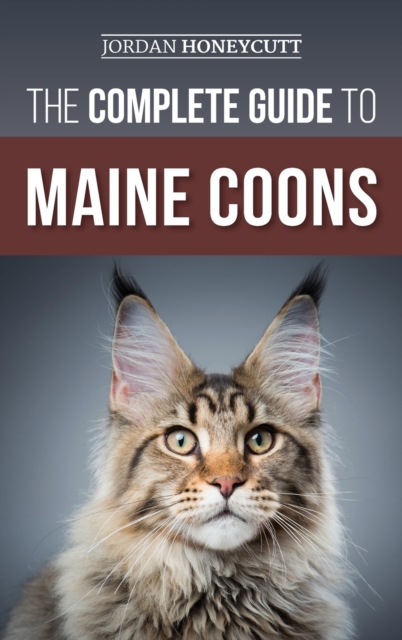 The Complete Guide to Maine Coons : Finding, Preparing for, Feeding, Training, Socializing, Grooming, and Loving Your New Maine Coon Cat, Hardback Book