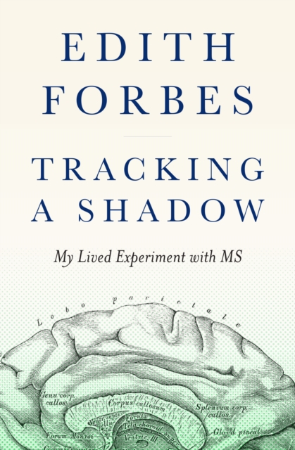 Tracking a Shadow : A Lived Experiment with MS, Paperback / softback Book