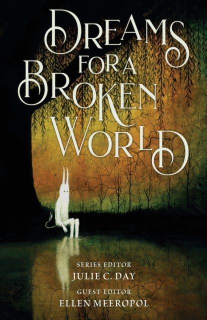 Dreams for a Broken World, Paperback / softback Book
