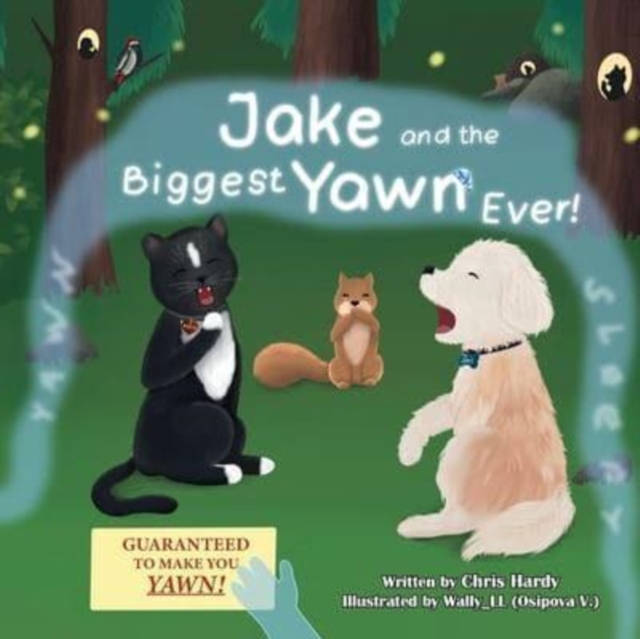 Jake and the Biggest Yawn Ever!, Paperback / softback Book