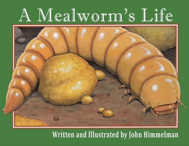 A Mealworm's Life, Paperback / softback Book