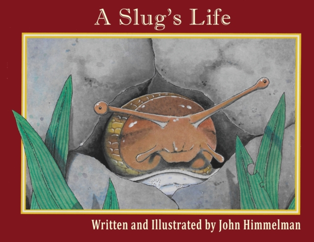A Slug's Life, Paperback / softback Book