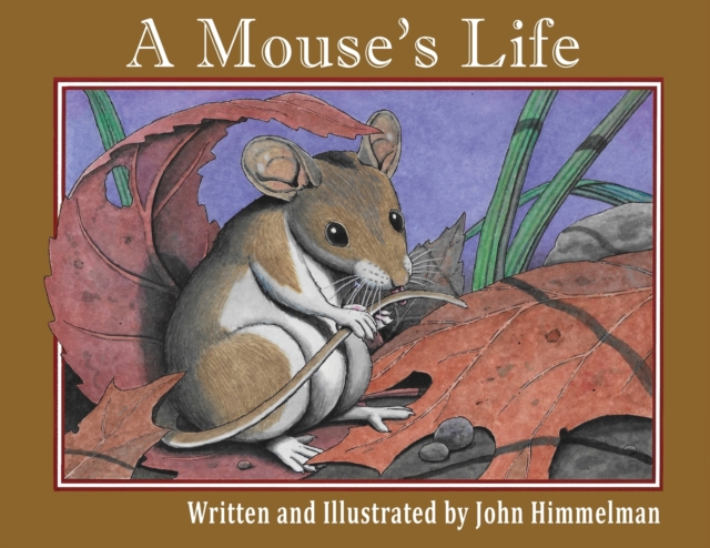 A Mouse's Life, Paperback / softback Book