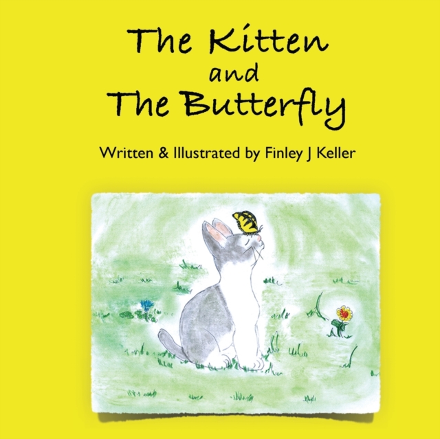 The Kitten and The Butterfly, Paperback / softback Book
