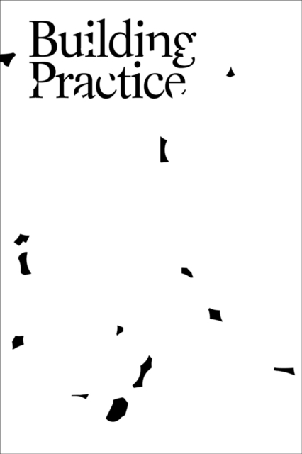 Building Practice, Paperback / softback Book