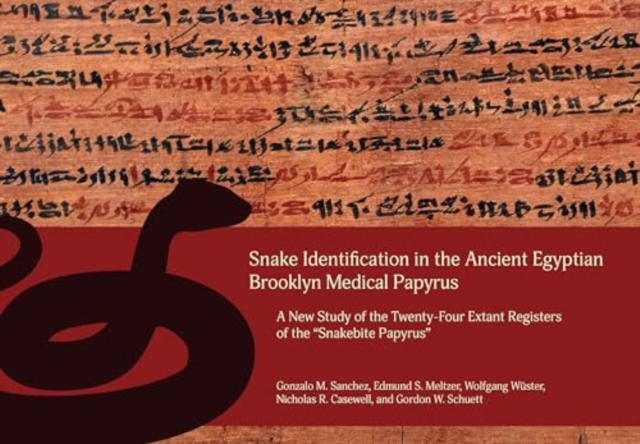 Snake Identification in the Ancient Egyptian Brooklyn Medical Papyrus : A New Study of the Twenty-Four Extant Registers of the 'Snakebite Papyrus', Hardback Book