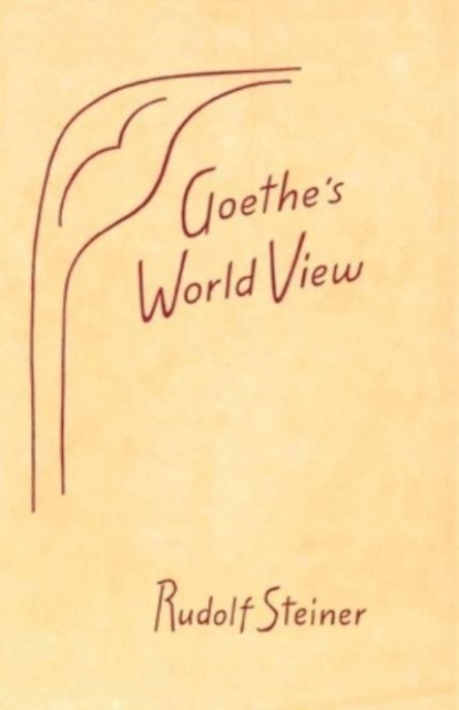 Goethe's World View, Paperback / softback Book