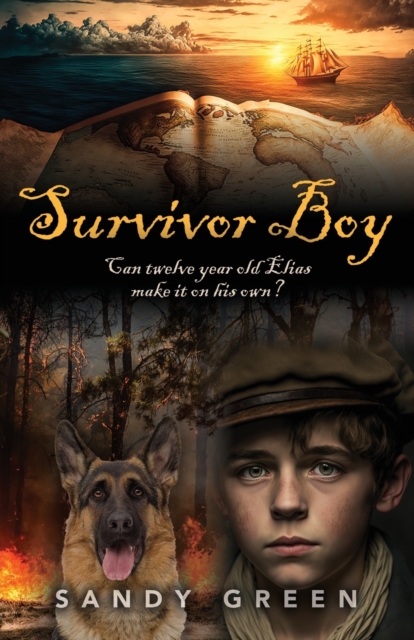 Survivor Boy, Paperback / softback Book