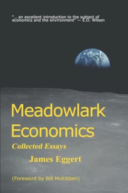 Meadowlark Economics : Collected Essays, Paperback / softback Book