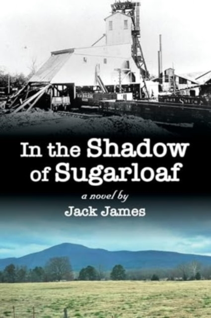 In The Shadow of Sugarloaf, Paperback / softback Book