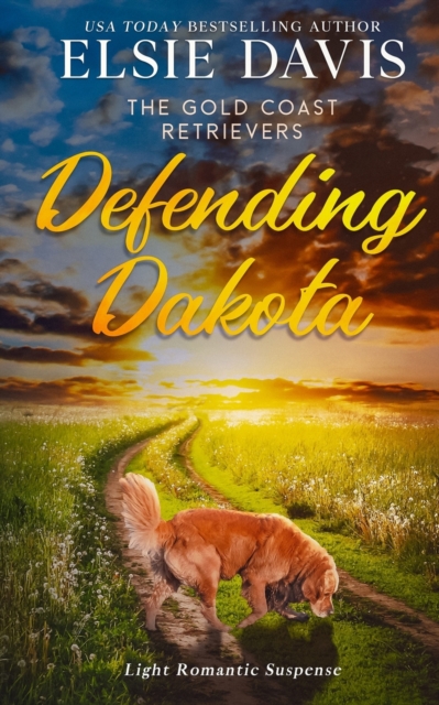 Defending Dakota, Paperback / softback Book