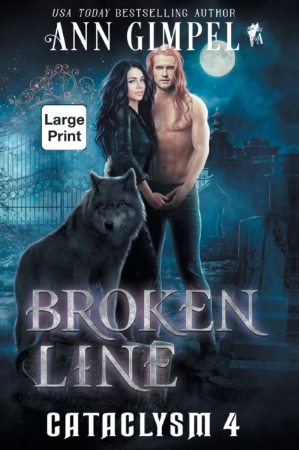 Broken Line : An Urban Fantasy, Paperback / softback Book