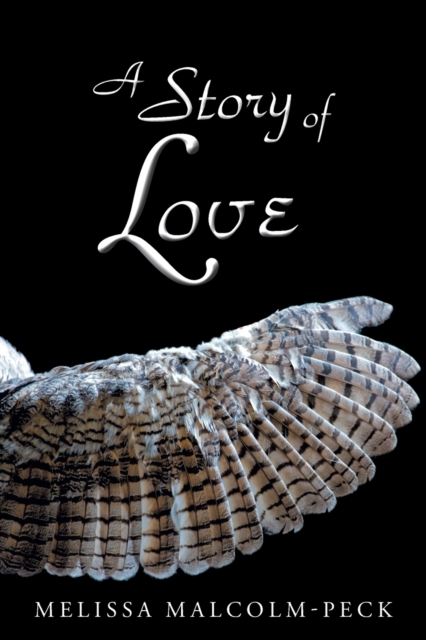 A Story of Love, Paperback / softback Book