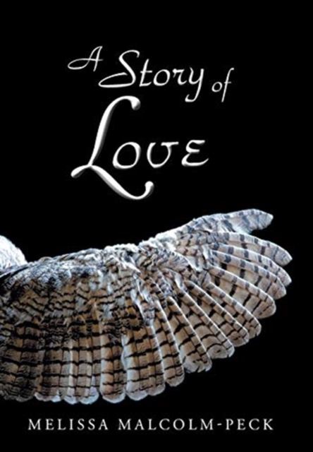 A Story of Love, Hardback Book