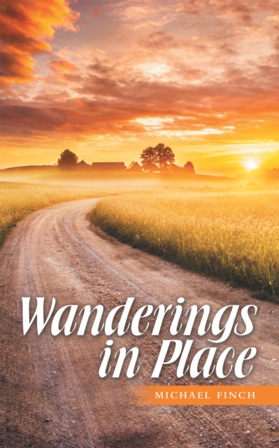 Wanderings in Place, EPUB eBook
