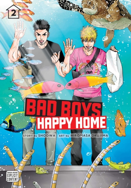 Bad Boys, Happy Home, Vol. 2, Paperback / softback Book