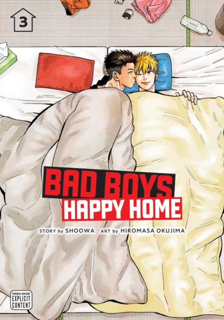 Bad Boys, Happy Home, Vol. 3, Paperback / softback Book