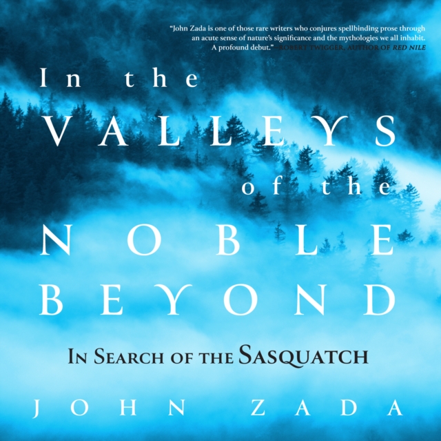 In the Valleys of the Noble Beyond, eAudiobook MP3 eaudioBook