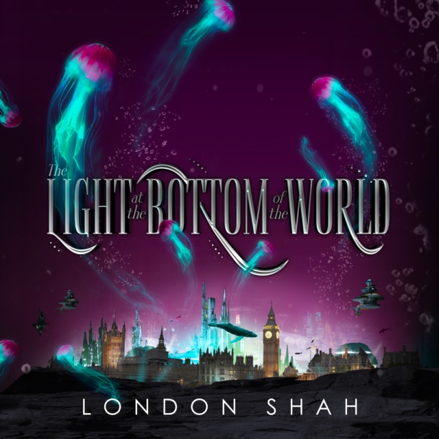 The Light at the Bottom of the World, eAudiobook MP3 eaudioBook