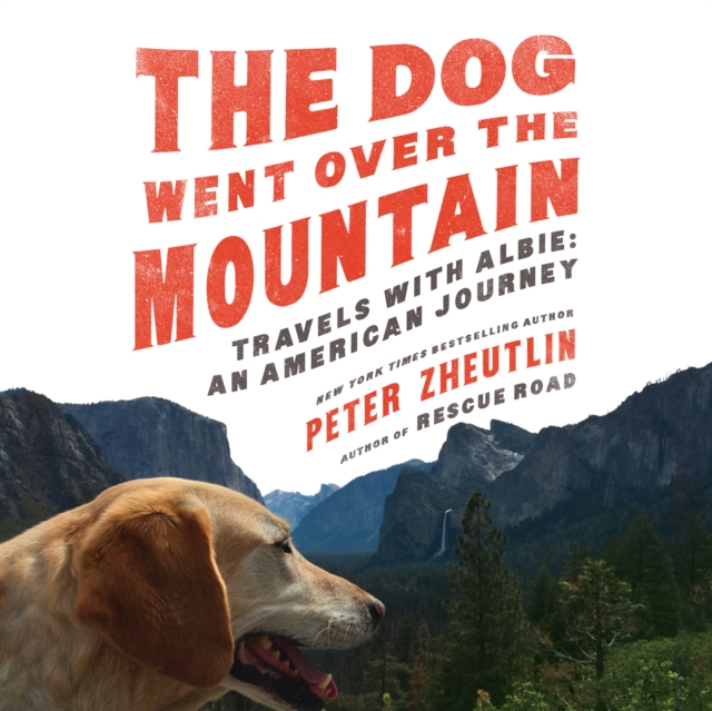 The Dog Went Over the Mountain, eAudiobook MP3 eaudioBook
