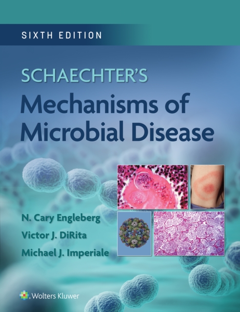 Schaechter's Mechanisms of Microbial Disease, EPUB eBook