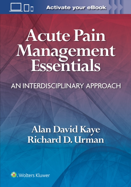 Acute Pain Management Essentials : An Interdisciplinary Approach, Paperback / softback Book