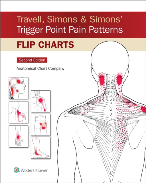 Travell, Simons & Simons’ Trigger Point Pain Patterns Flip Charts, Paperback / softback Book