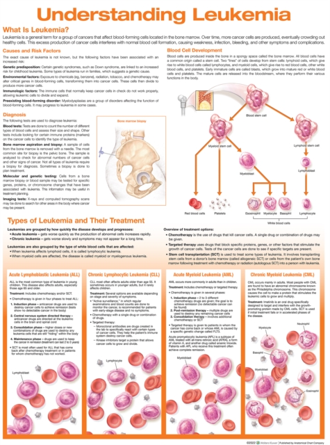 Understanding Leukemia Anatomical Chart, Wallchart Book