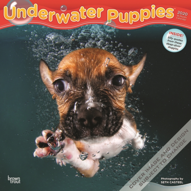 Underwater Puppies 2020 Square Wall Calendar, Calendar Book