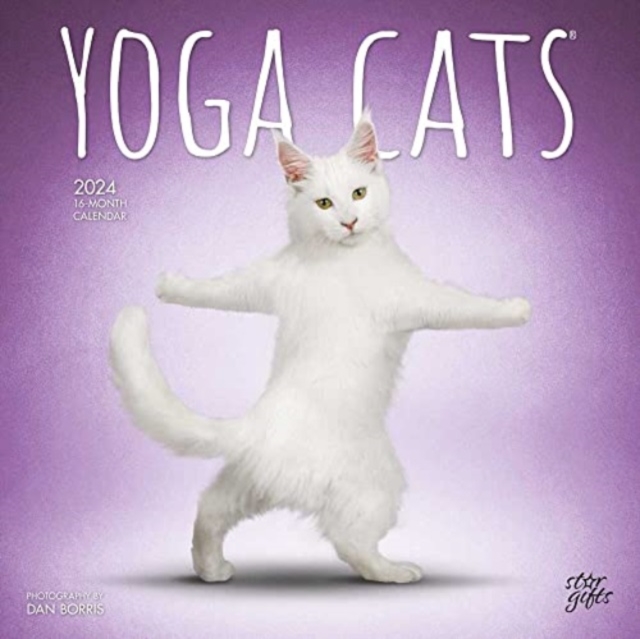 YOGA CATS 2024 SQUARE STKR STARGIFTS, Paperback Book