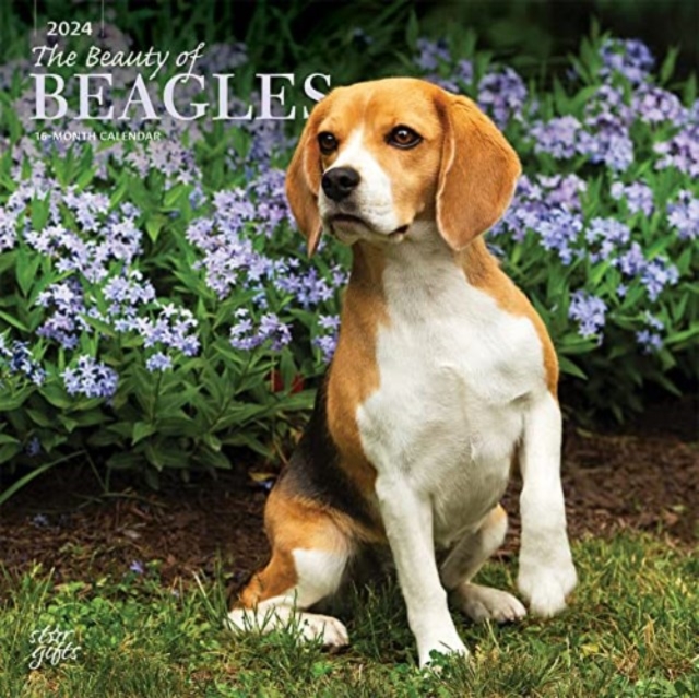 Beautiful beagles sales