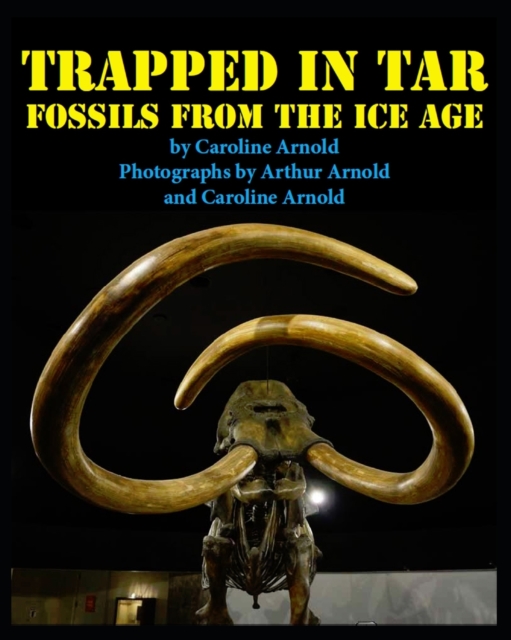 Trapped in Tar : Fossils from the Ice Age, Paperback / softback Book