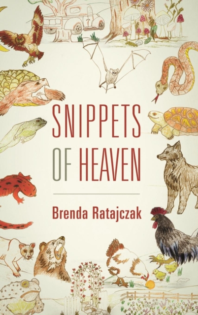 Snippets of Heaven, Hardback Book