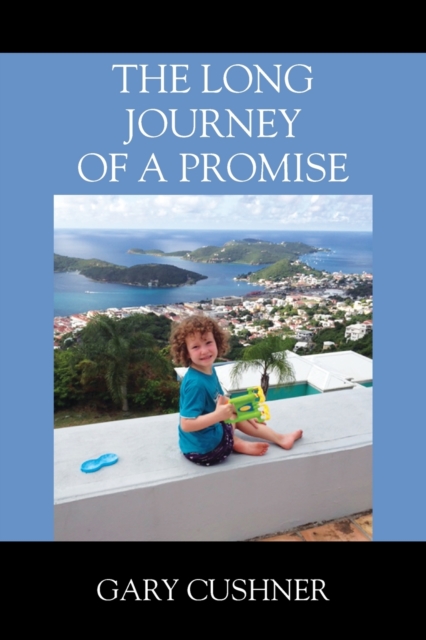 The Long Journey of a Promise, Paperback / softback Book