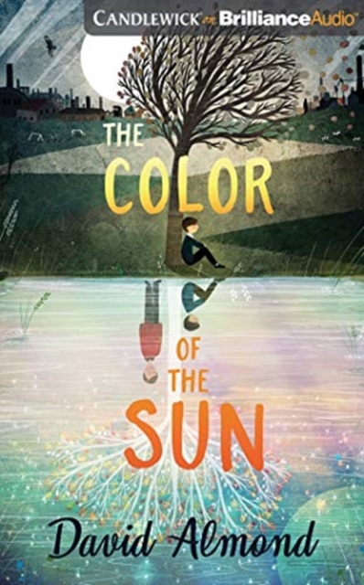 COLOR OF THE SUN THE, CD-Audio Book