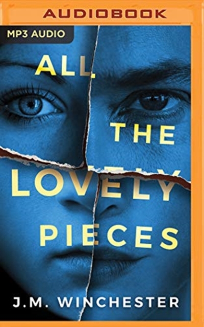 ALL THE LOVELY PIECES, CD-Audio Book
