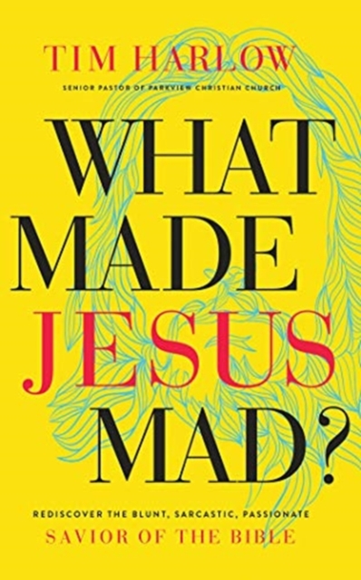 WHAT MADE JESUS MAD, CD-Audio Book