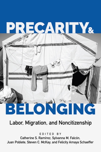 Precarity and Belonging : Labor, Migration, and Noncitizenship, Paperback / softback Book