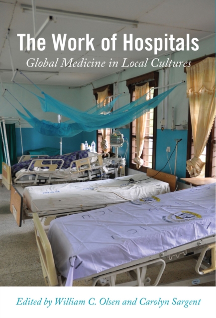 The Work of Hospitals : Global Medicine in Local Cultures, Paperback / softback Book