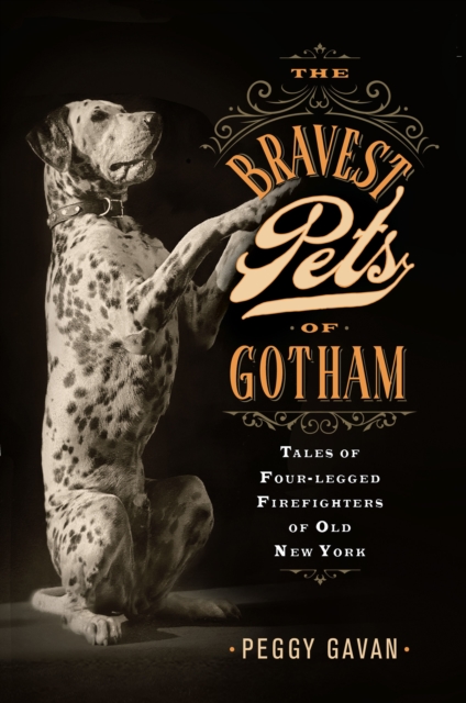 The Bravest Pets of Gotham : Tales of Four-Legged Firefighters of Old New York, Hardback Book