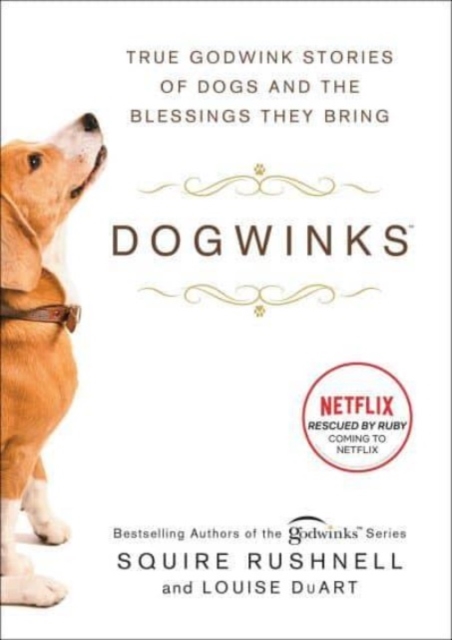 Dogwinks : True Godwink Stories of Dogs and the Blessings They Bring, Paperback / softback Book