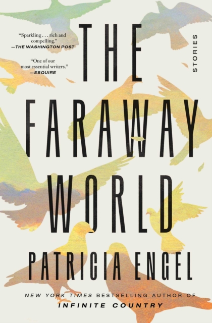 The Faraway World : Stories, EPUB eBook
