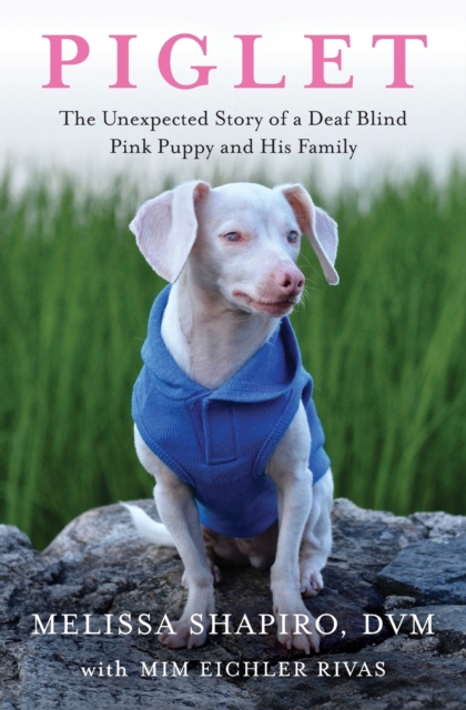 Piglet : The Unexpected Story of a Deaf, Blind, Pink Puppy and His Family, Paperback / softback Book