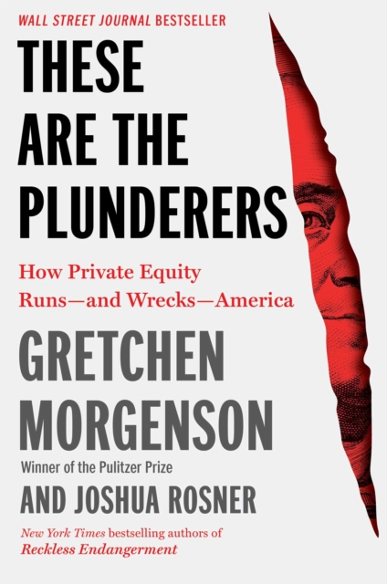 These Are the Plunderers : How Private Equity Runs-and Wrecks-America, EPUB eBook